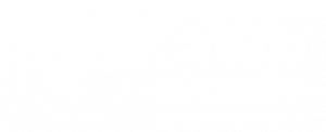 CANALIZA SECURITY logo